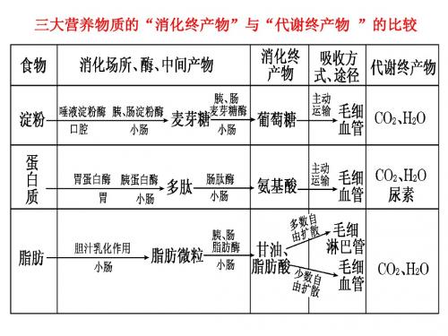 三大营养物质代谢