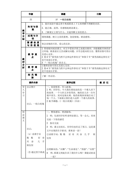 37  一枝白玫瑰