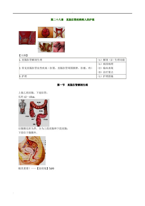 直肠肛管疾病病人的护理精华版