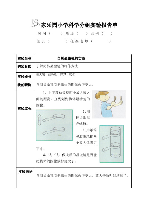 教科版六年级下册《怎样放得更大》优秀实验报告单(含答案)