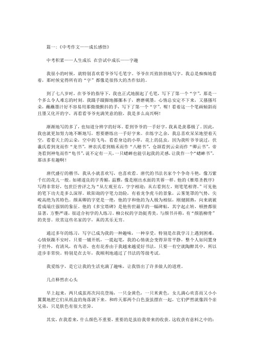 成长感悟的中考满分作文