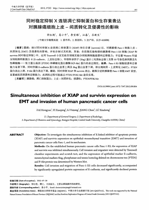 同时稳定抑制X连锁凋亡抑制蛋白和生存素表达对胰腺癌细胞上皮一间质转化及侵袭性的影响
