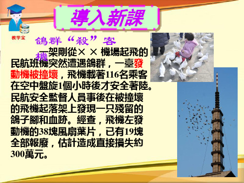 人教版八年级物理课件-动能和势能