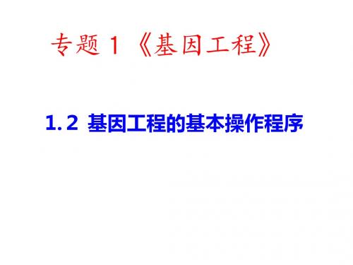 1.2 基因工程的基本操作程序