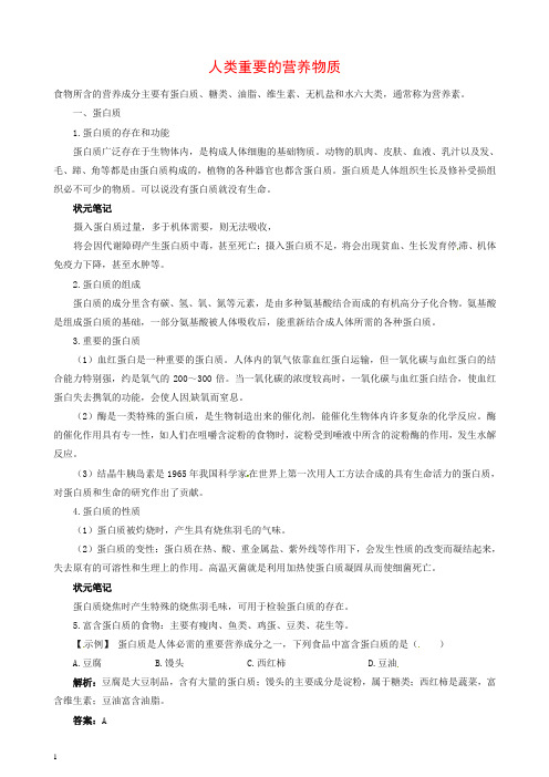 新人教版中考化学复习精品 人类重要的营养物质