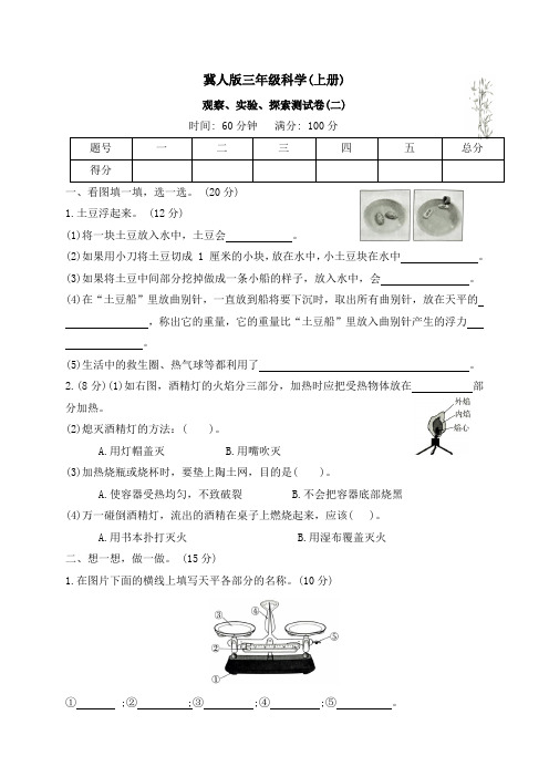 2024-2025学年科学三年级上册冀人版观察、实验、探索测试卷(二)(word版 有答案)