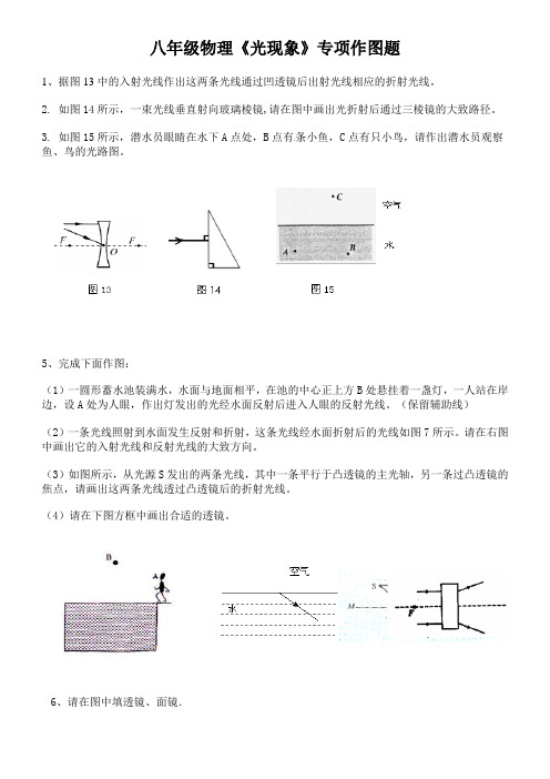 初中八年级物理《光现象》专项作图题