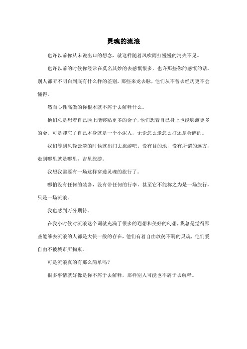 灵魂的流浪_高中高三作文450字