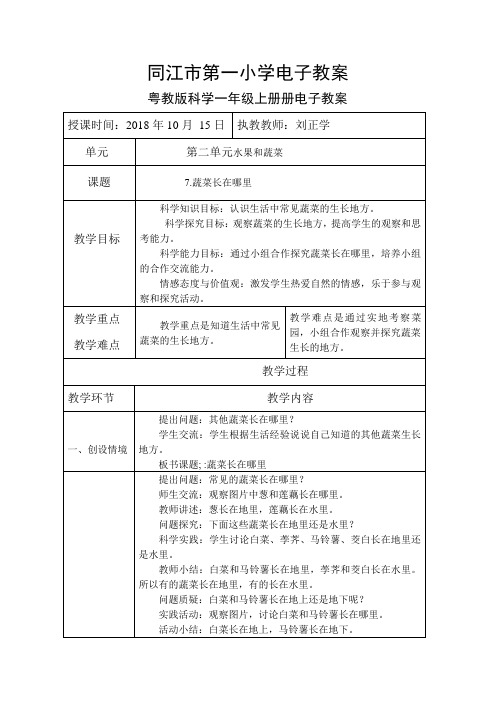 粤教版科学一年级上册7.蔬菜长在哪里电子教案