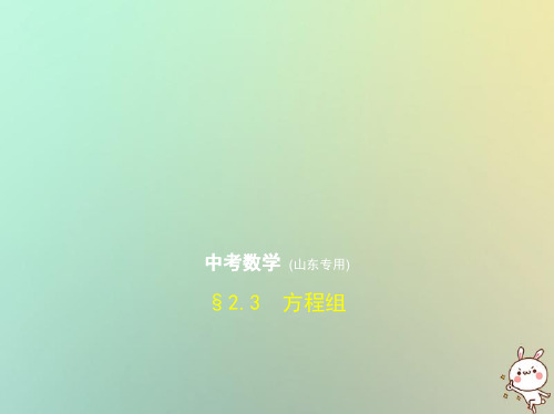 2019版中考数学总复习 第二章 方程与不等式2.3 方程组课件教学资料