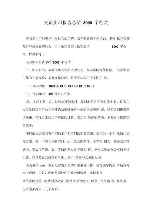 文员实习报告总结3000字范文