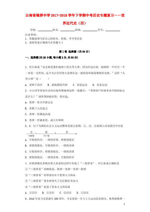 云南省玉溪市峨山县中考历史专题复习世界近代史(四)新人教版