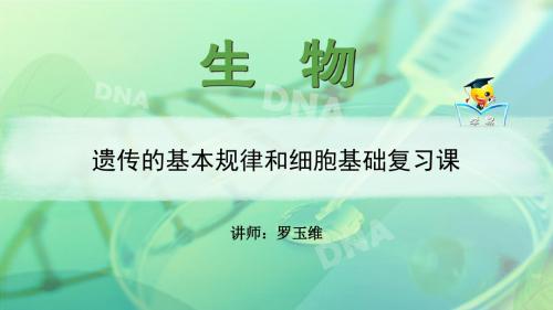 高一 生物 罗玉维 必修二 第一单元 遗传的基本规律和细胞基础 第十一讲 遗传的基本规律和细胞基础复习课