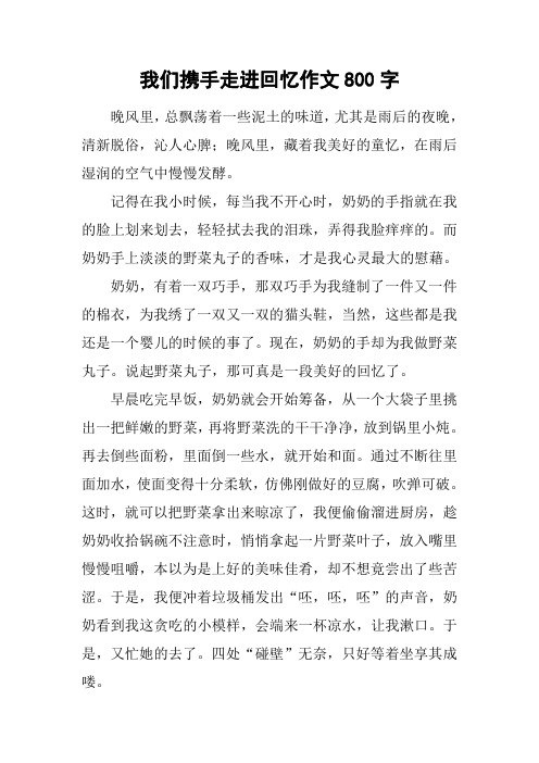 我们携手走进回忆作文800字