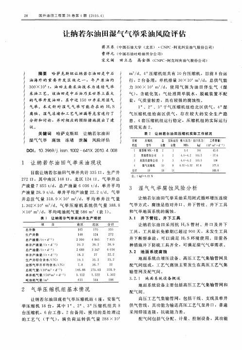 让纳若尔油田湿气气举采油风险评估