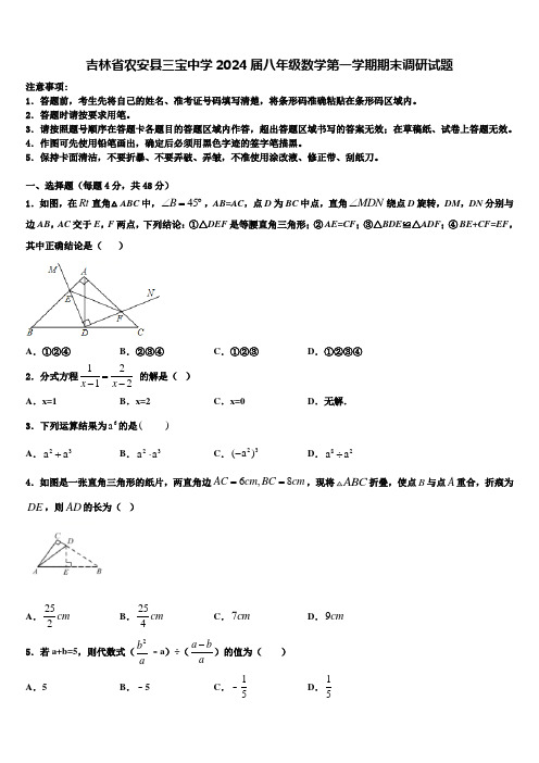 吉林省农安县三宝中学2024届八年级数学第一学期期末调研试题含解析