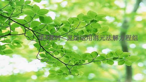 七年级数学 第3章 一次方程与方程组3.3 二元一次方程组及其解法第4课时 灵活运用消元法解方程组