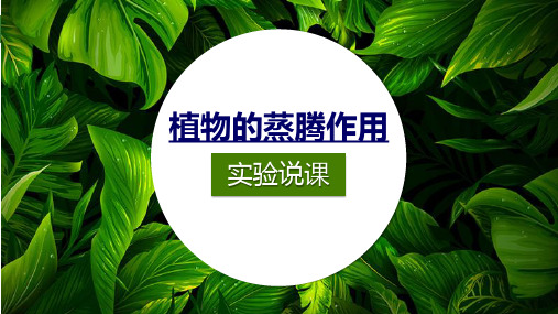 《植物的蒸腾作用》说课课件(全国获奖实验说课案例)精选全文