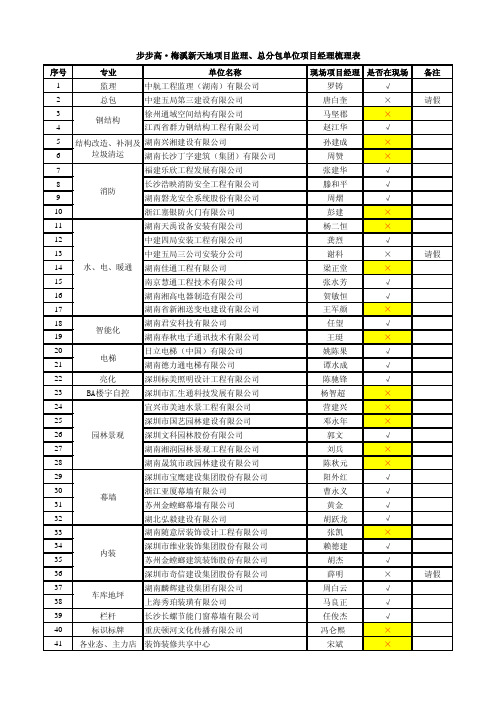 项目监理、总分包单位项目经理梳理表