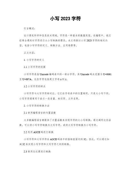 小写2023字符