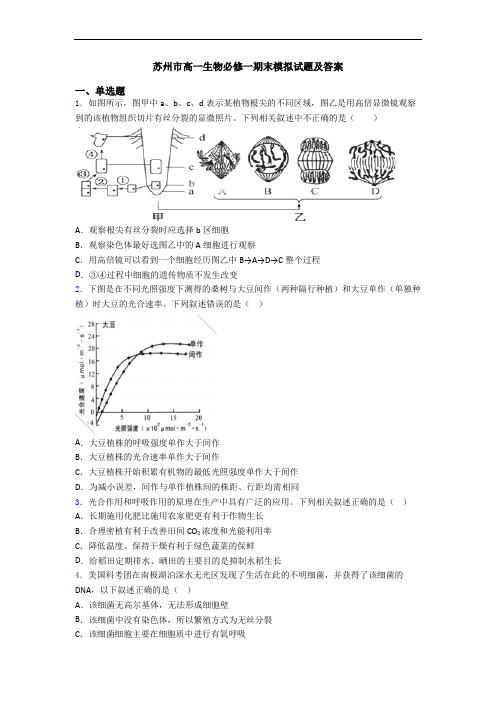 苏州市高一生物必修一期末模拟试题及答案