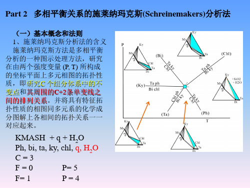 高等岩石学