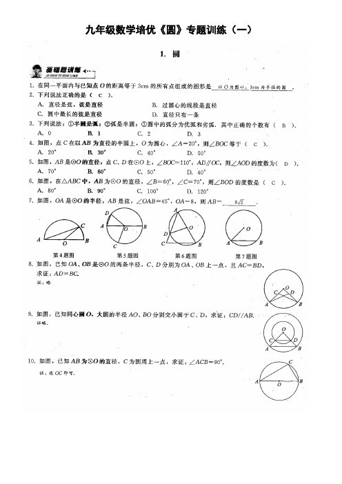 师九年级数学培优圆专题训练