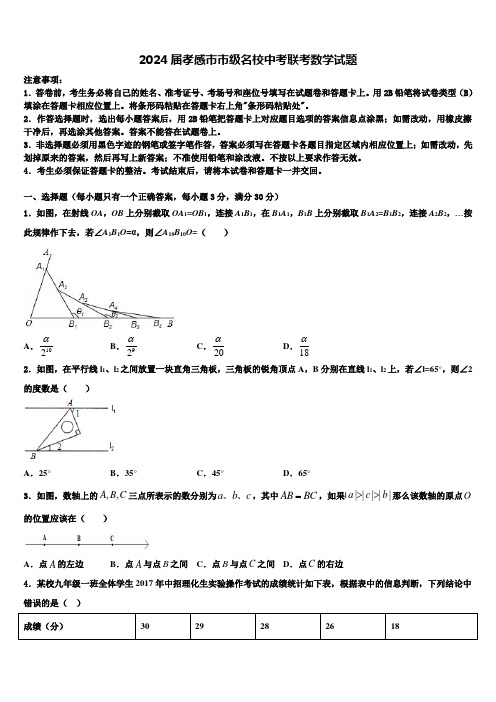 2024届孝感市市级名校中考联考数学试题含解析