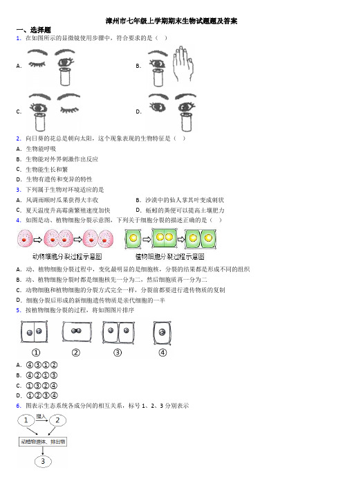 漳州市七年级上学期期末生物试题题及答案