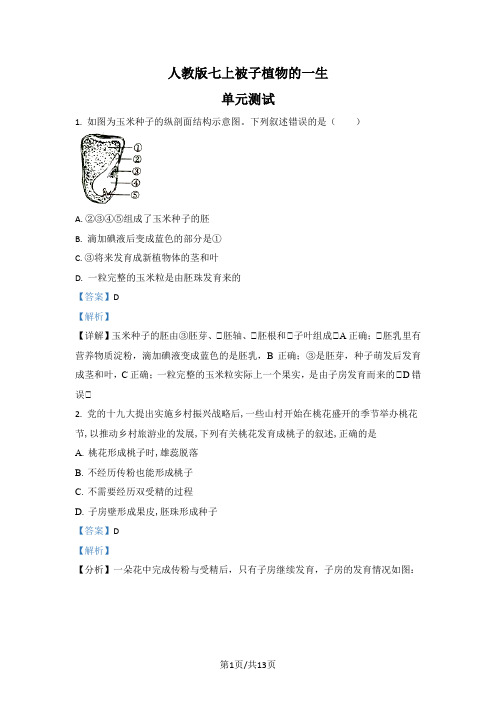 七年级上学期人教版第二章 被子植物的一生 单元测试 (3)