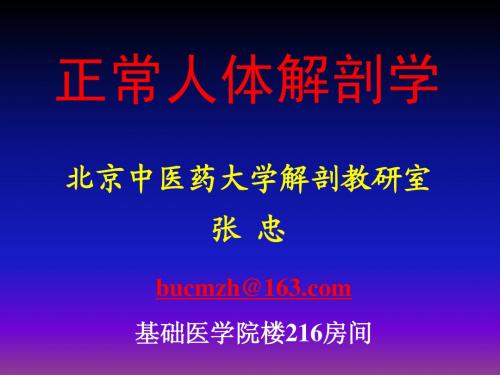 绪论和骨学1