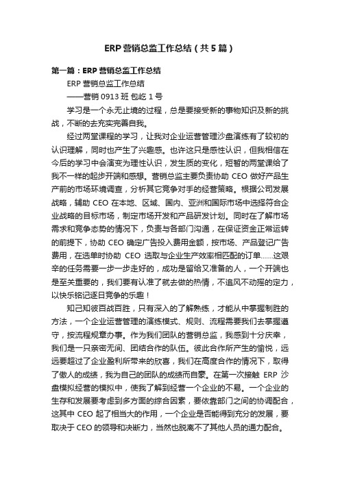 ERP营销总监工作总结（共5篇）