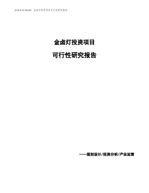 金卤灯投资项目可行性研究报告