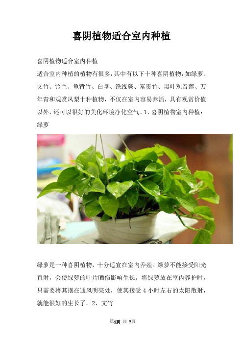 喜阴植物适合室内种植