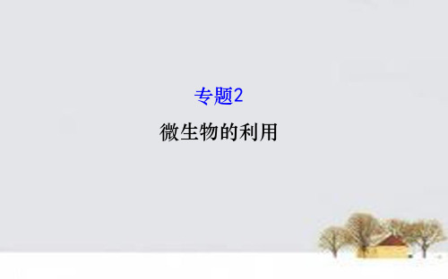 2016届高三生物第一轮复习 专题2 微生物的利用课件 新人教版选修1