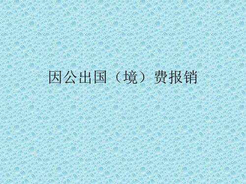 因公出国(境)费报销