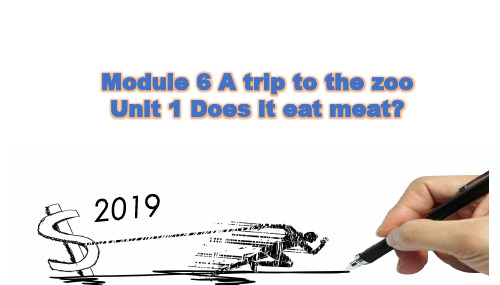 Module6Unit1Doesiteatmeat说课稿-外研版七年级英语上册