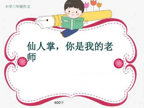 小学三年级作文《仙人掌,你是我的老师》600字