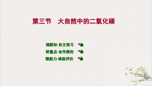 大自然中的二氧化碳PPT九年级化学鲁教版上册精品课件