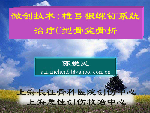 15 陈爱民--微创技术椎弓根螺钉系统治疗C型骨盆骨折