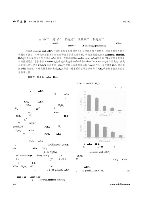 过氧化氢参与了脱落酸调控的拟南芥根形态发育