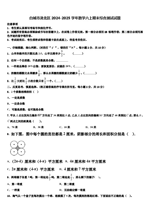 白城市洮北区2024-2025学年数学六上期末综合测试试题含解析