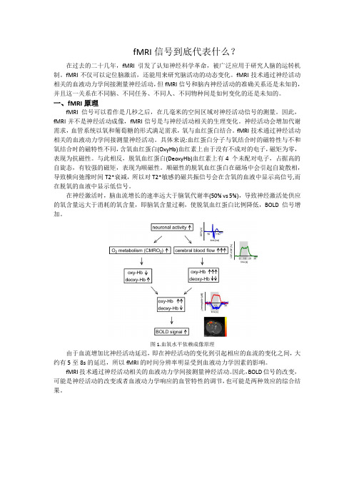 神经活动与BOLD信号之间的关系