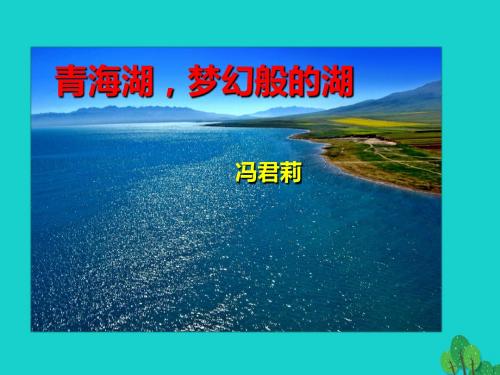 八年级语文上册第一单元第3课《青海湖,梦幻般的湖》课件(新版)语文版