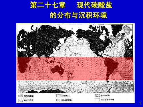 27现代碳酸盐岩沉积环境及控制因素(王)