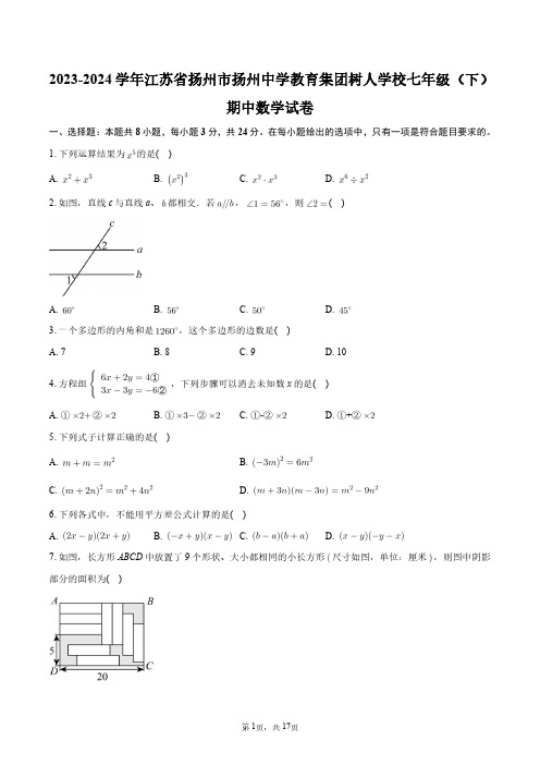 2023-2024学年江苏省扬州市扬州中学教育集团树人学校七年级(下)期中数学试卷+答案解析