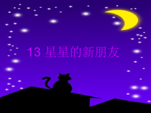 13、星星的新朋友