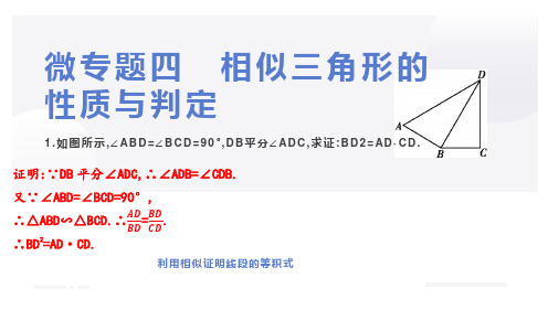 微专题四 相似三角形的性质与判定