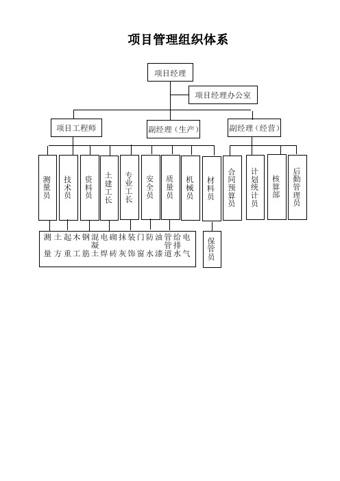 项目管理组织体系图