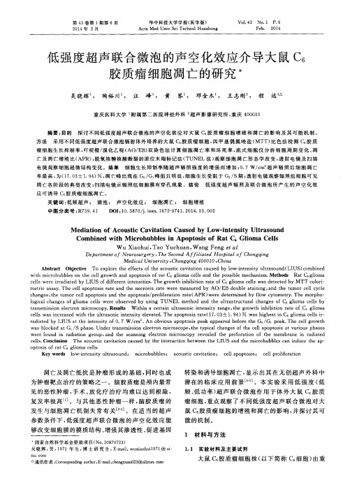 低强度超声联合微泡的声空化效应介导大鼠C6胶质瘤细胞凋亡的研究